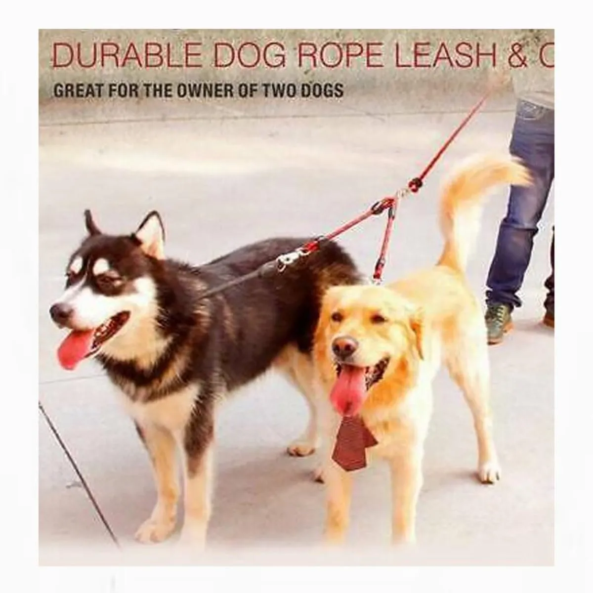 Durable Pet Leash 2 Way Dog Coupler Rope for Dogs