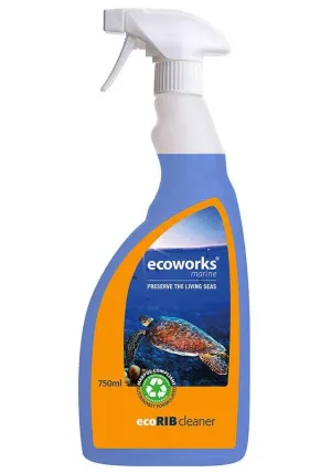 Ecoworks RIB Cleaner 1L