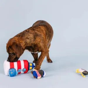 Pet Shop by Fringe Studio Ships Ahoy Hide & Seek Burrow Dog Toy