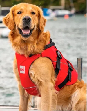 RED PADDLE DOG PFD