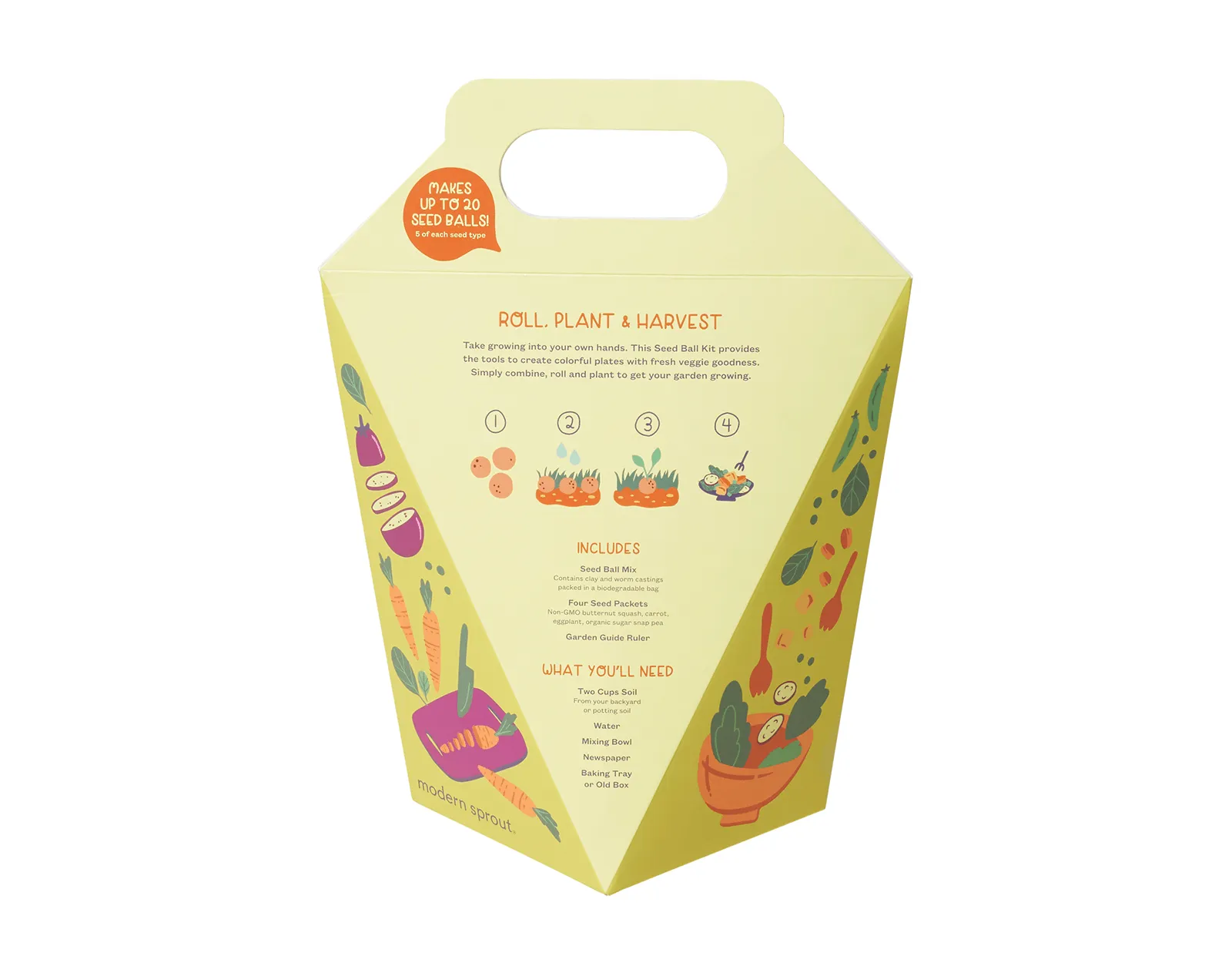 Seed Ball Kit - Rainbow Garden